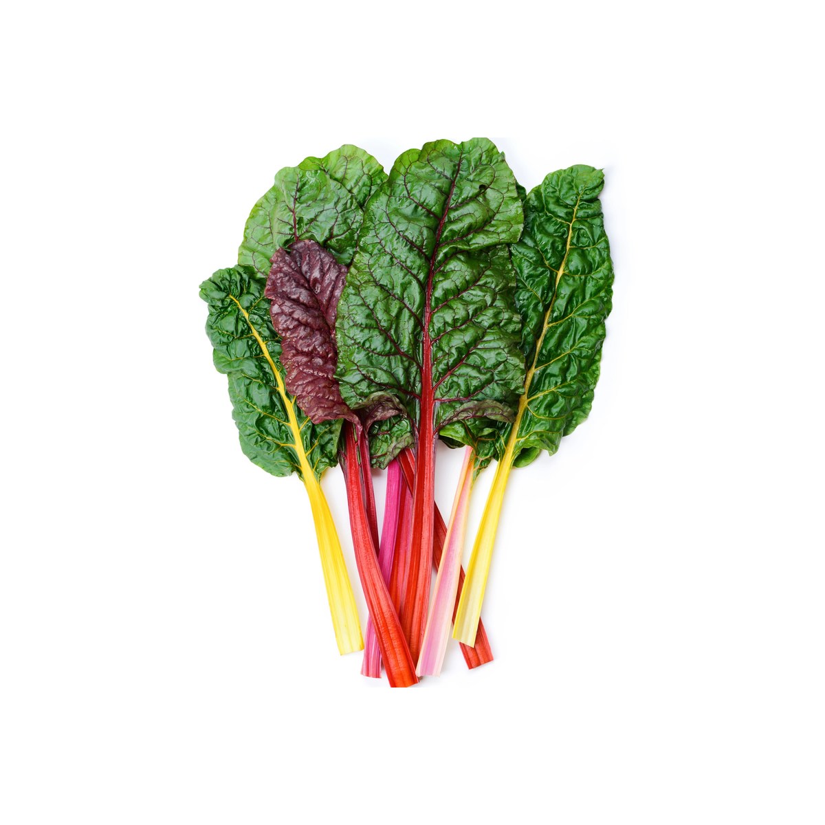 Swiss Chard - Hydroponic - 100 gms