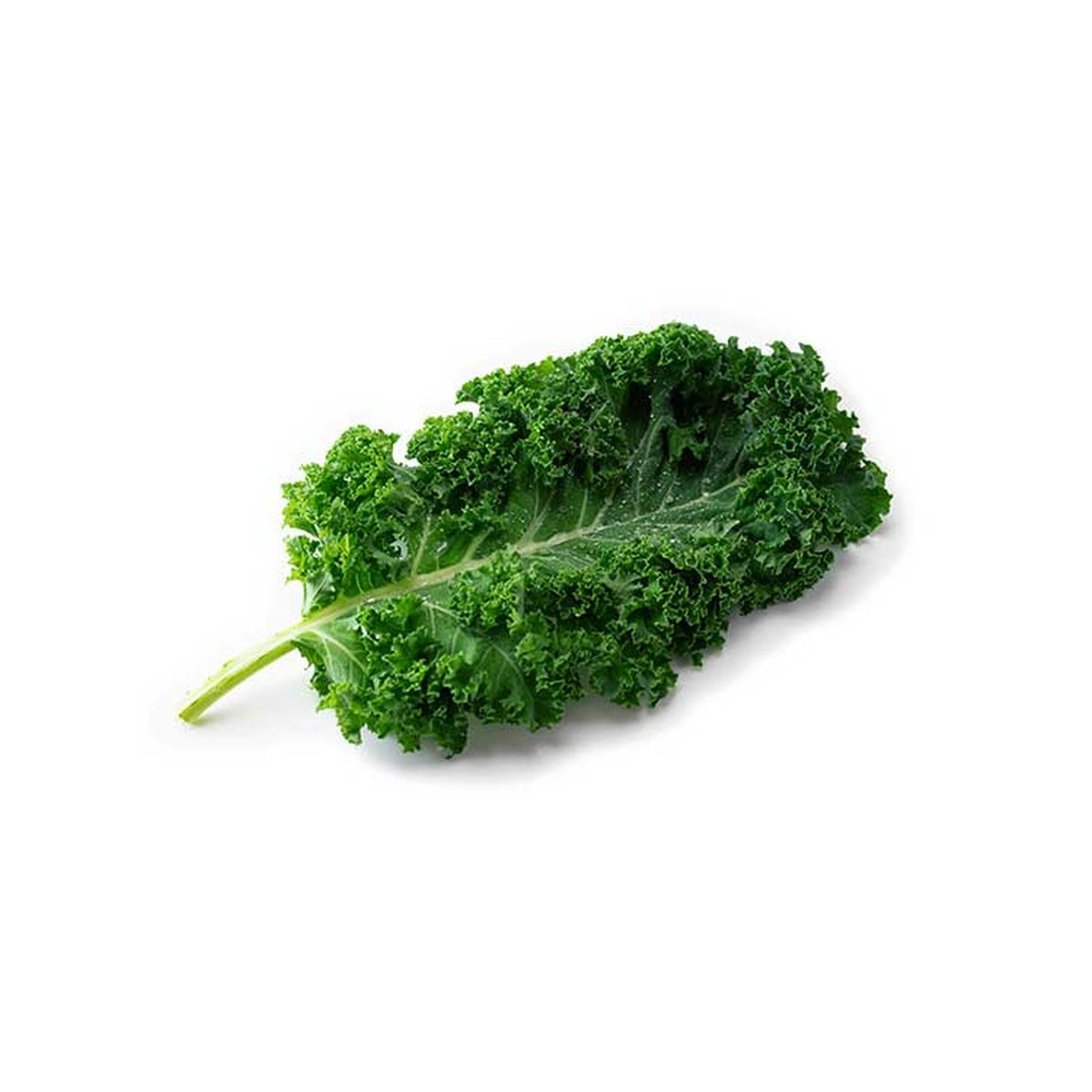 Kale - Hydroponic - 100 gms