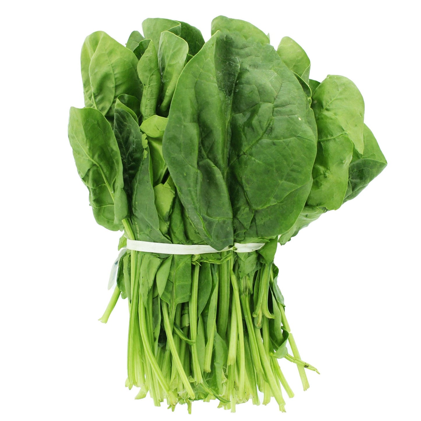 Spinach - Hydroponic - 200 gms
