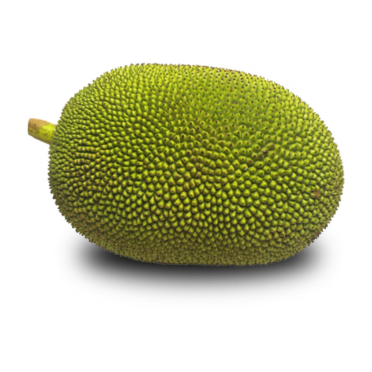 Raw Jackfruit - Fanas - 1 Kg