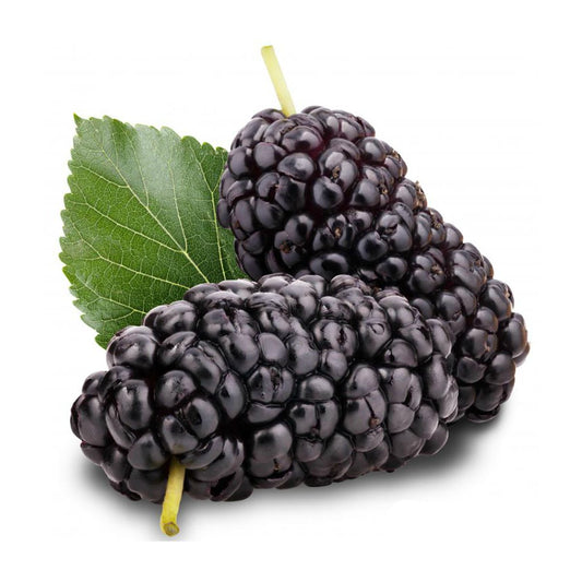 Mulberry - Shahatut - 200 gms