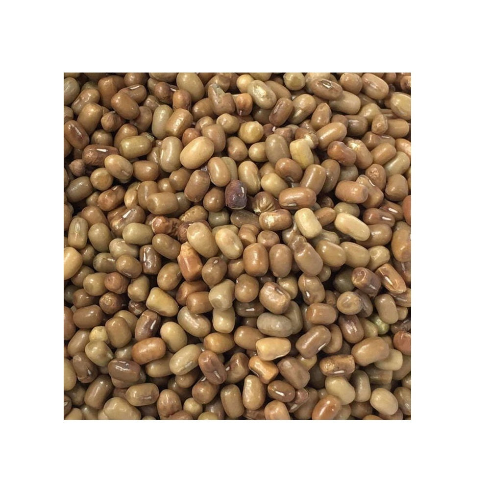 Moth Bean / Matki - 500 gm