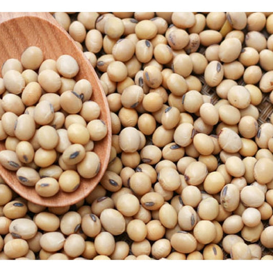 Soya Bean (INDORE) - 500 gm