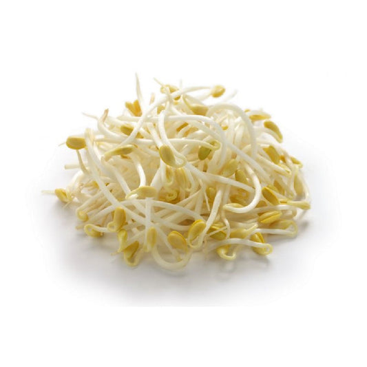 Exotic - Beans Sprout - 100 gms