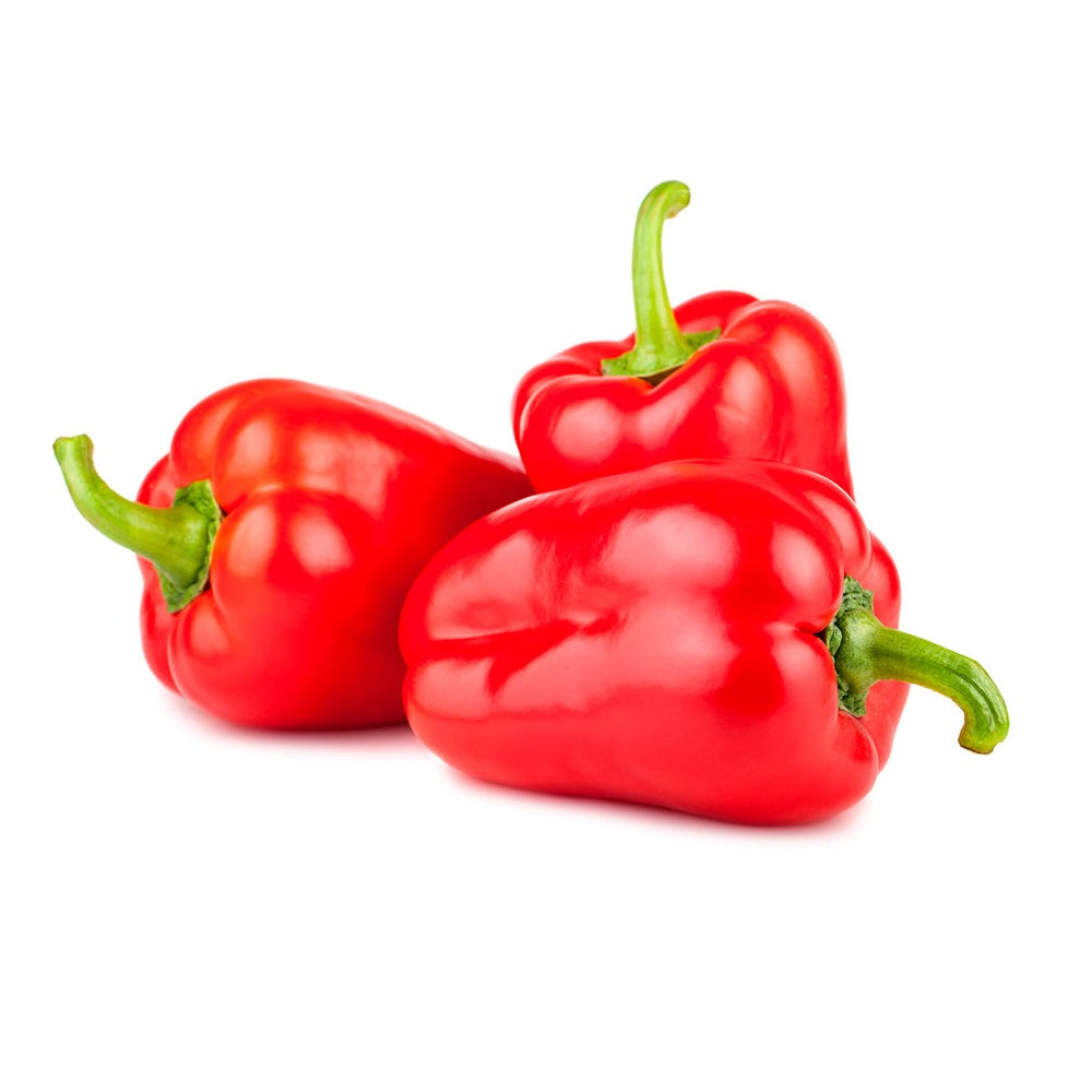 Exotic - Capsicum Red (1 pkt) - 250-300 gm