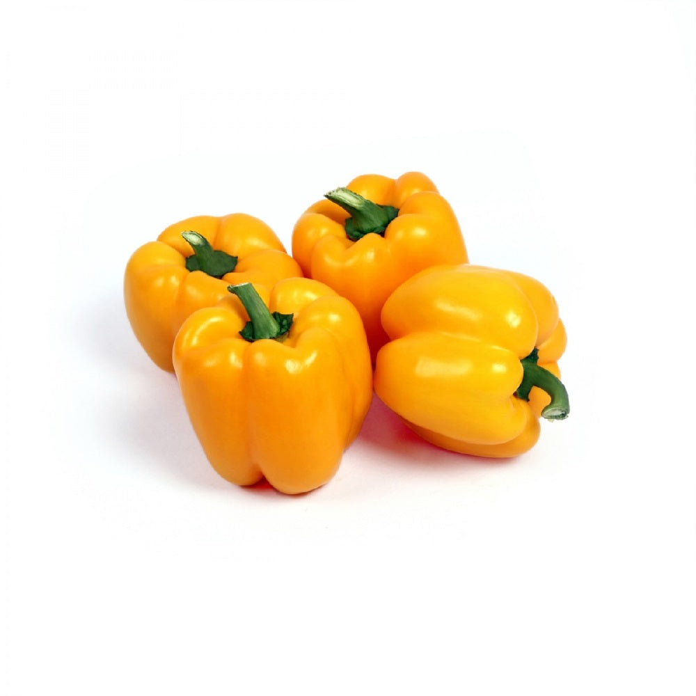 Exotic - Capsicum Yellow (1 pkt) - 250-300 gm