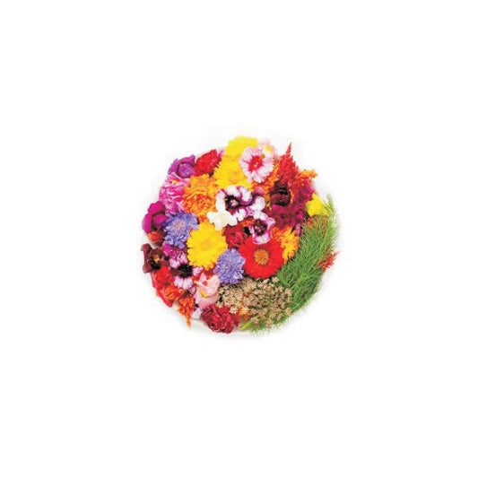 Exotic - Edible Flowers - 25 gm