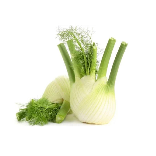 Exotic - Fennel - 200-300 gm