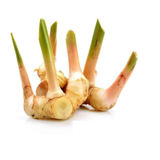 Exotic - Galangal/ Thai Ginger - 100 gm