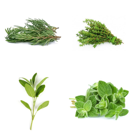 Exotic - Herbs Mix.Rosemary+ThymetOreganotSage - 50 gm