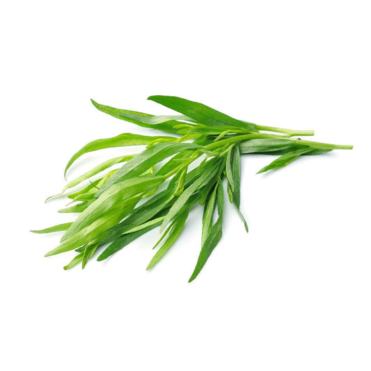 Exotic - Herbs-Tarragon - 20 gm