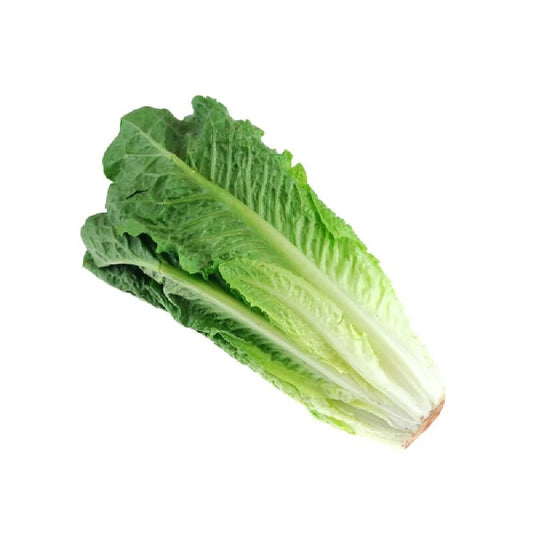 Exotic - Lettuce Romaine Green - 150 gm