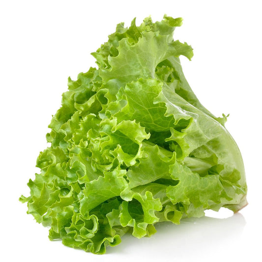 Exotic - Lettuce Simpson - 150 gm