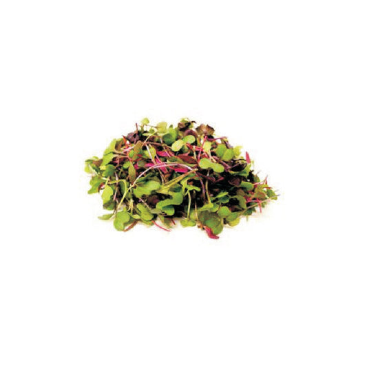 Exotic - Microgreens Mix - 50 gm