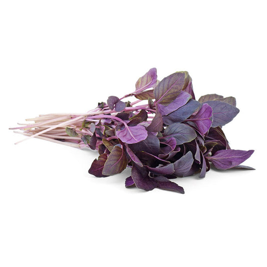 Exotic - Red Basil Leaves Herb's - 20 gm