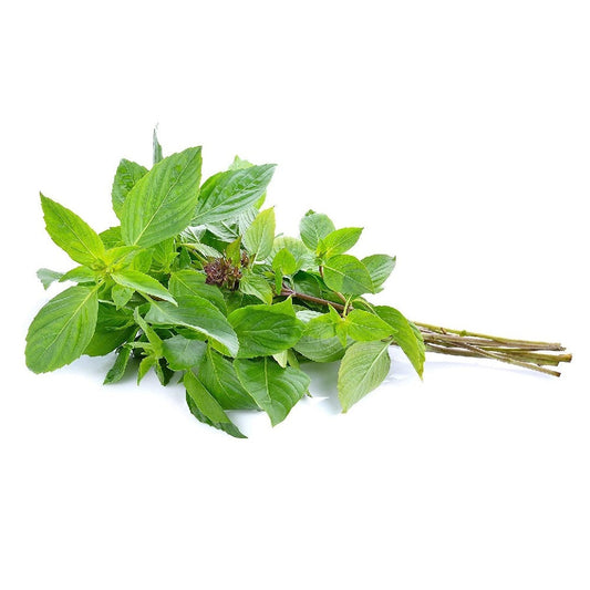 Exotic - Thai Sweet Basil Herb's - 50 gm