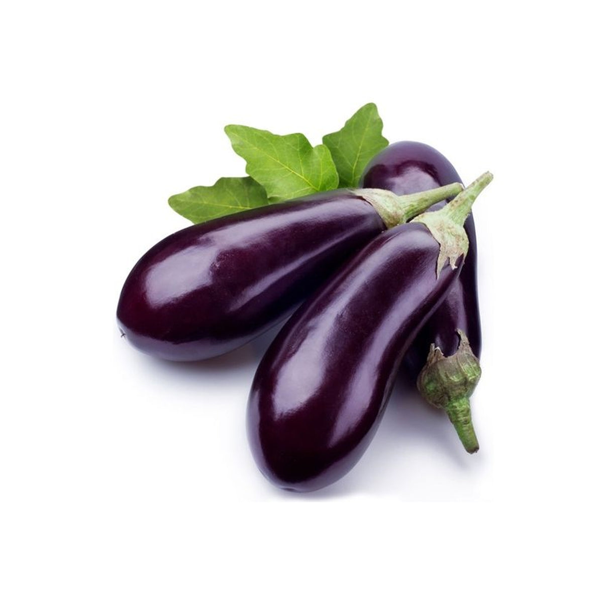 Brinjal / Vangi -  Big - 500 gms