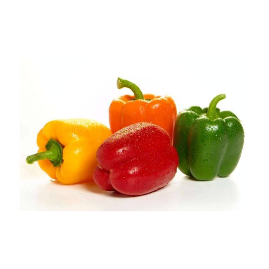 Coloured Capsicum  - Hydroponic - 2 Nos