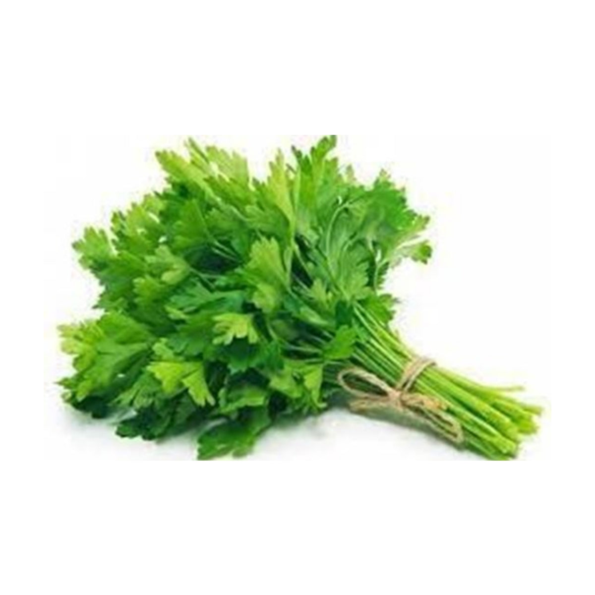 Coriander / Kothambir 250 gms