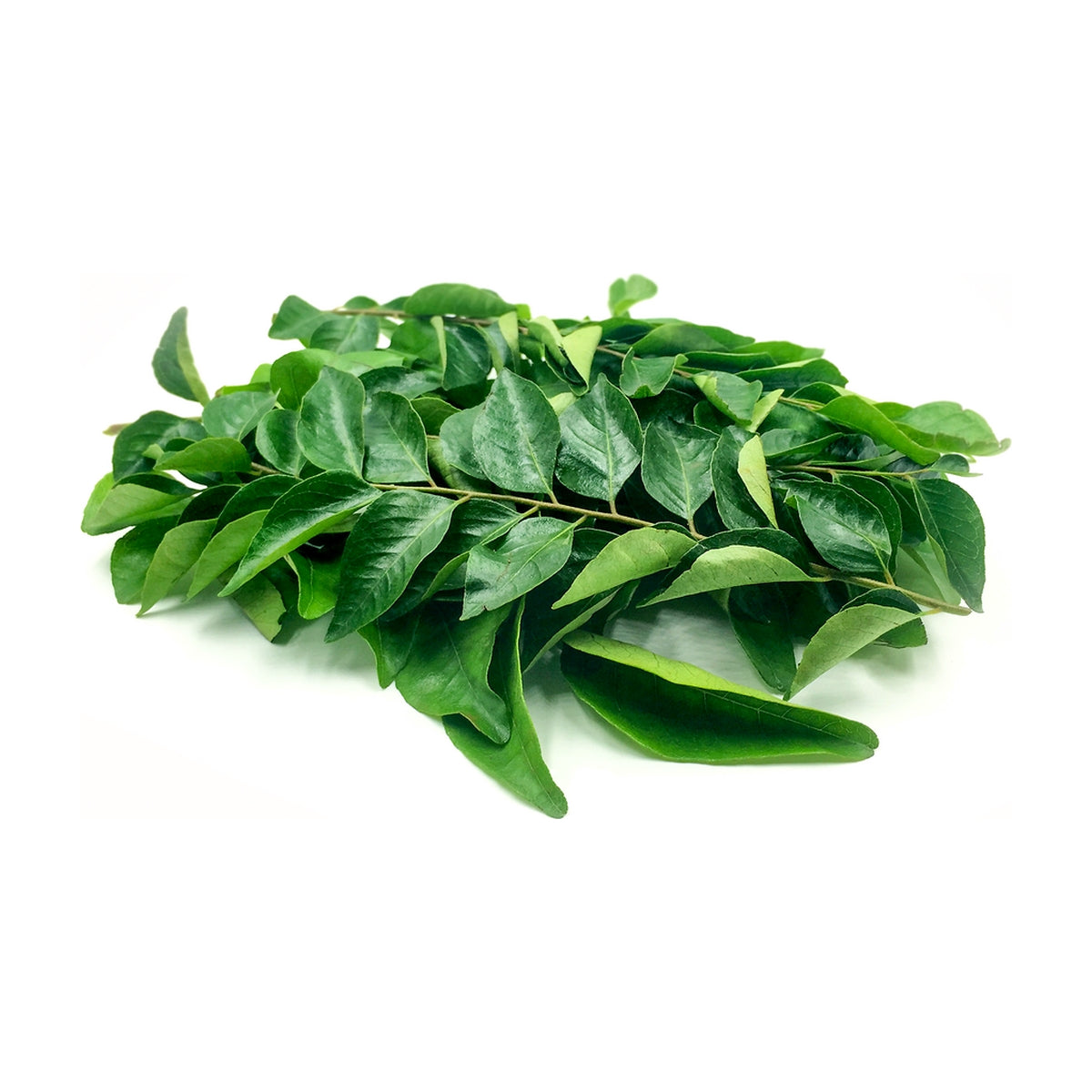 Curry leaves / Kadi Patta 50 gms