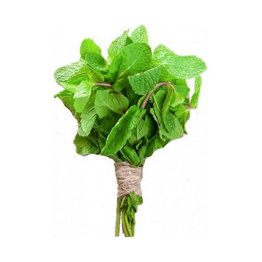 Mint leaves / Pudina 100 gms