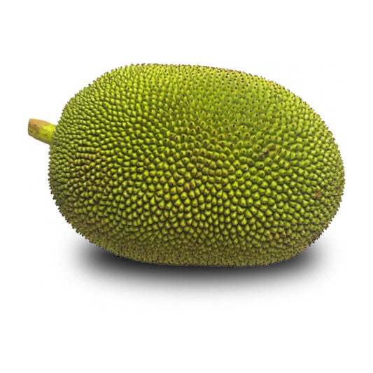 Raw Jackfruit  - Fanas - 1 Kg