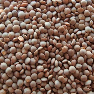 Masoor Whole - 500 gm